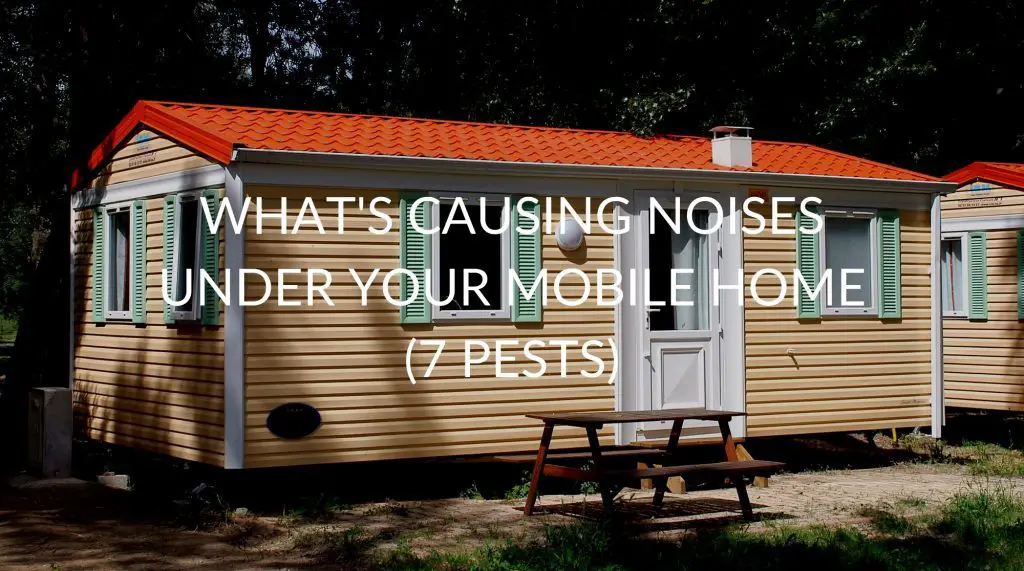 What S Causing Noises Under Your Mobile Home 7 Pests Pest   How To Protect Growing Pumpkins From Animals 11 Ways 1 1024x571 