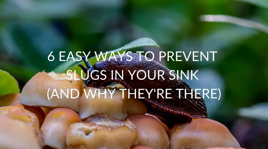 6 Easy Ways To Prevent Slugs In Your Sink (And Why They're There