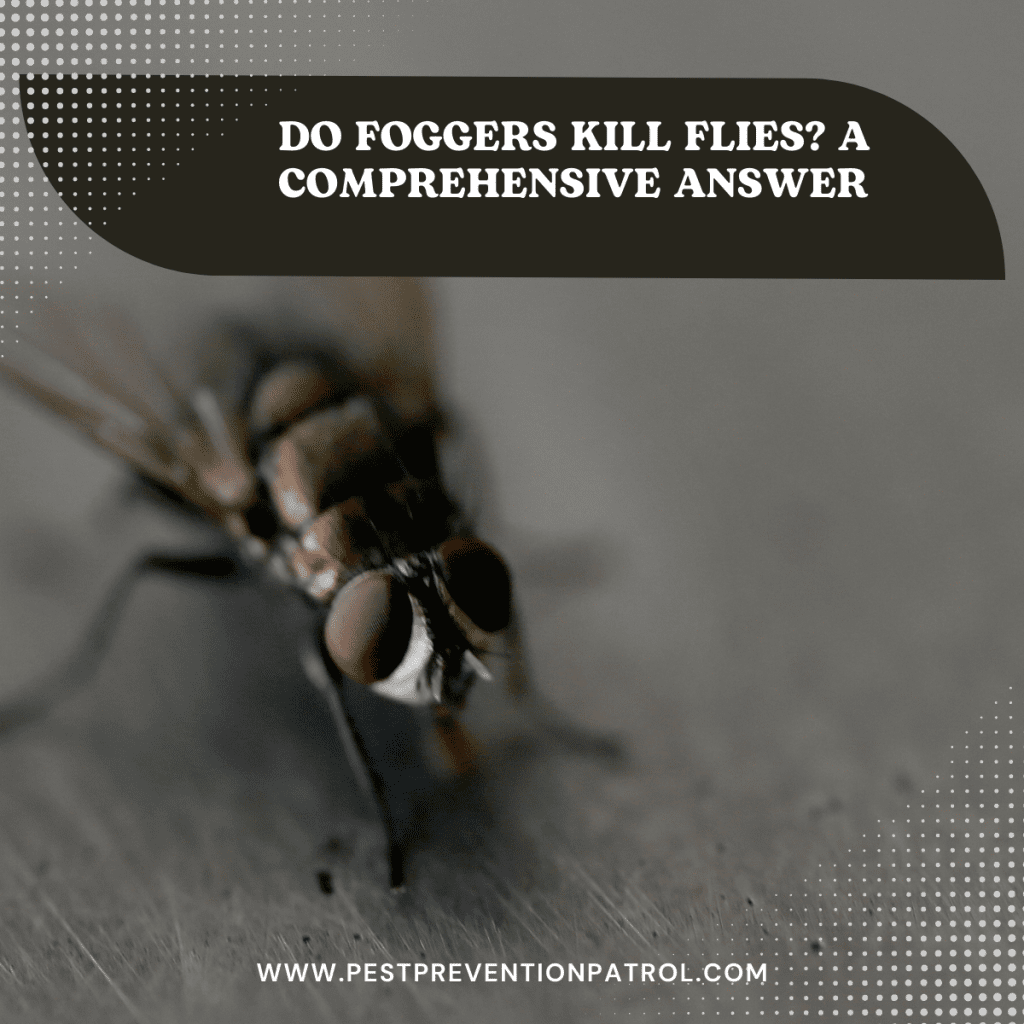 Do Foggers Kill Flies? A Comprehensive Answer Pest Prevention Patrol