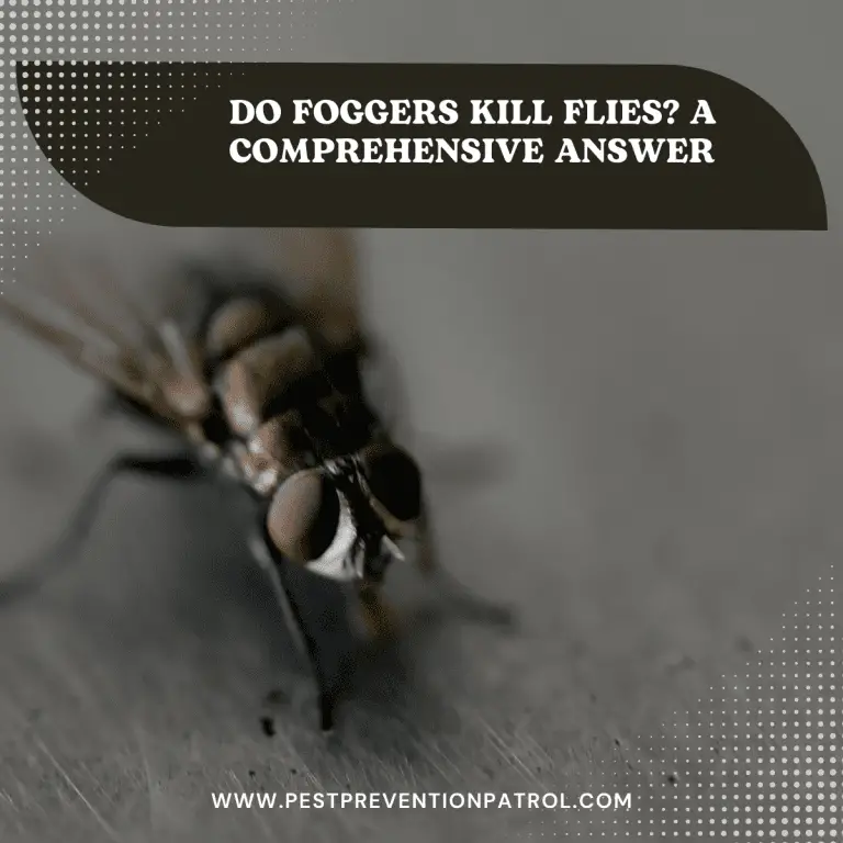 Do Foggers Kill Flies? A Comprehensive Answer Pest Prevention Patrol