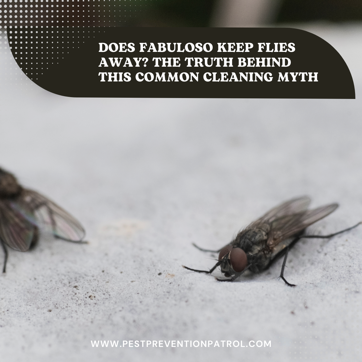 Does Fabuloso Keep Flies Away_ The Truth Behind This Common Cleaning Myth