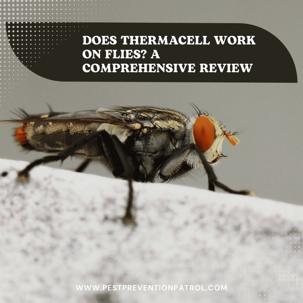 Does Thermacell Work on Flies? A Comprehensive Review Pest Prevention