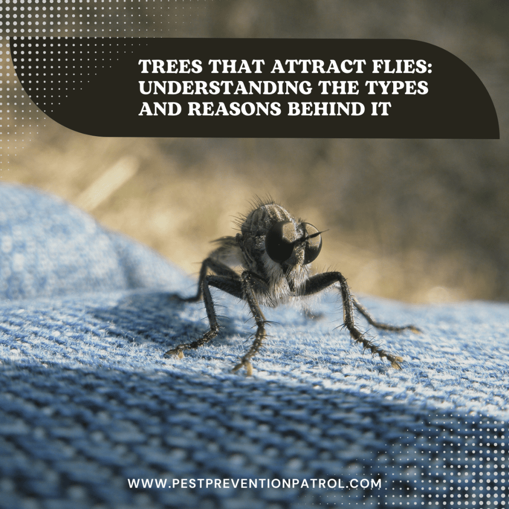 Trees That Attract Flies Understanding the Types and Reasons Behind It
